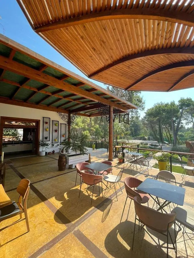 Divjaka Resort