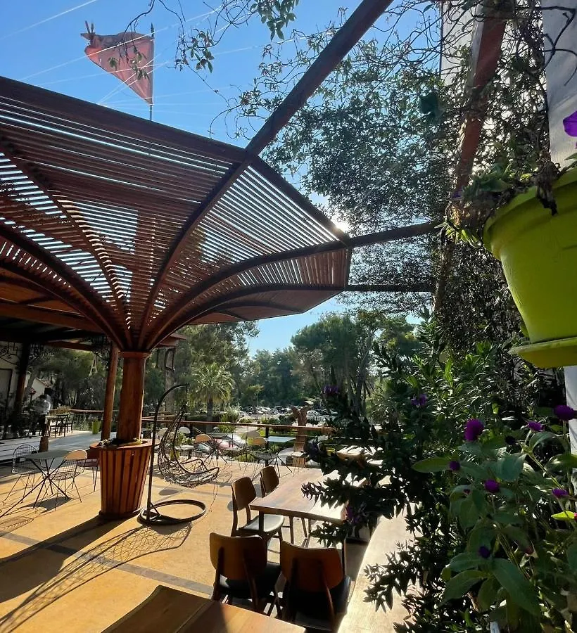 Divjaka Resort