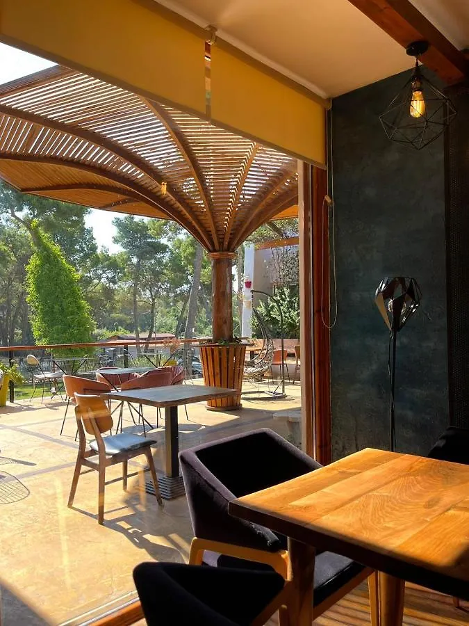 Divjaka Resort Albanie