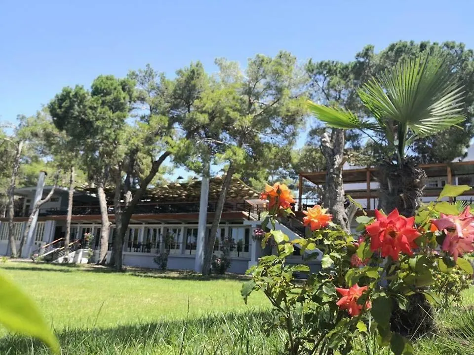 Divjaka Resort 0*, Divjake